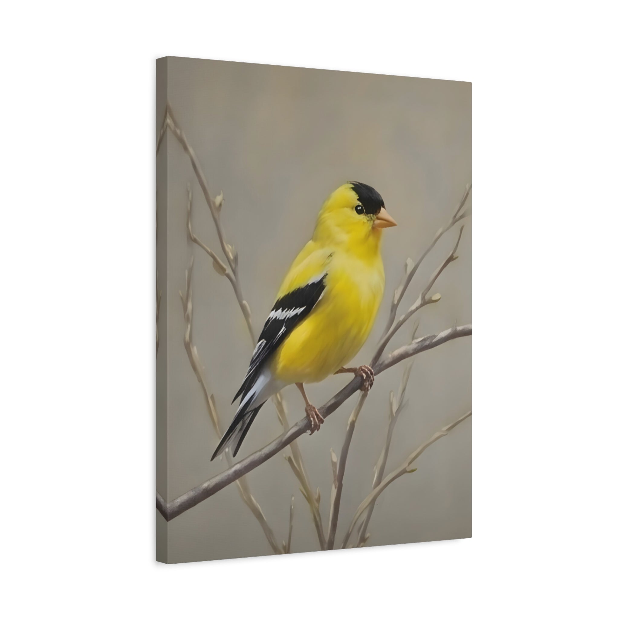 Putter Muurkunst Canvas — Gele Zangvogel Schilderij op Tak, Mat Gespannen Canvas