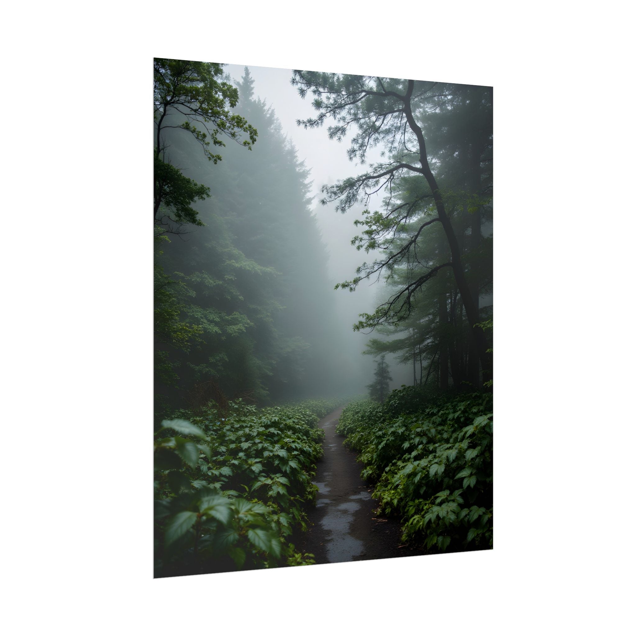 Misty Forest Path  Stretched Wall Art - Poster