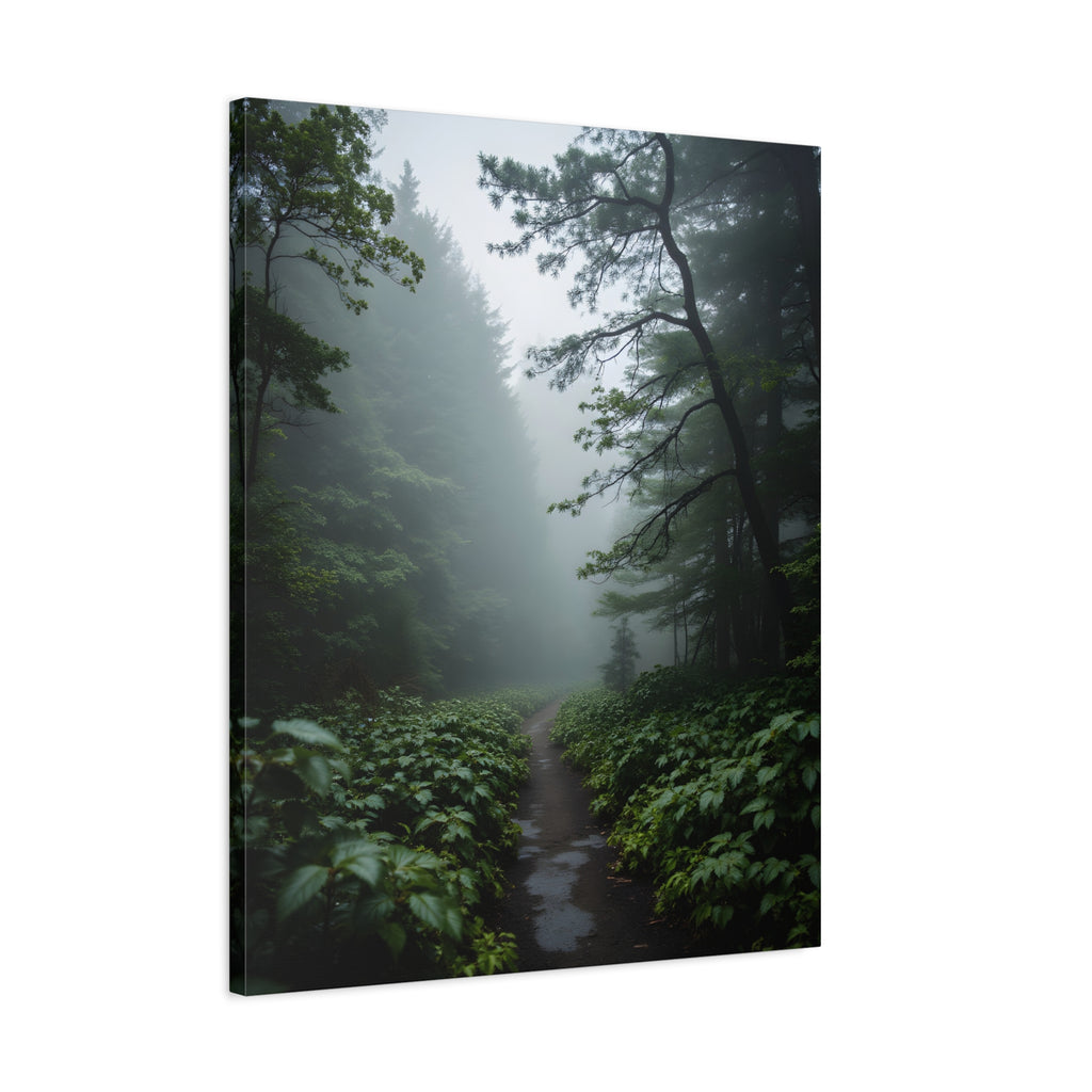 Misty Forest Path  Stretched Wall Art - Canvas Print