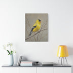 Putter Muurkunst Canvas — Gele Zangvogel Schilderij op Tak, Mat Gespannen Canvas