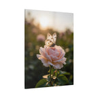 Butterfly on Pink Rose Wall Art - Stretched Canvas