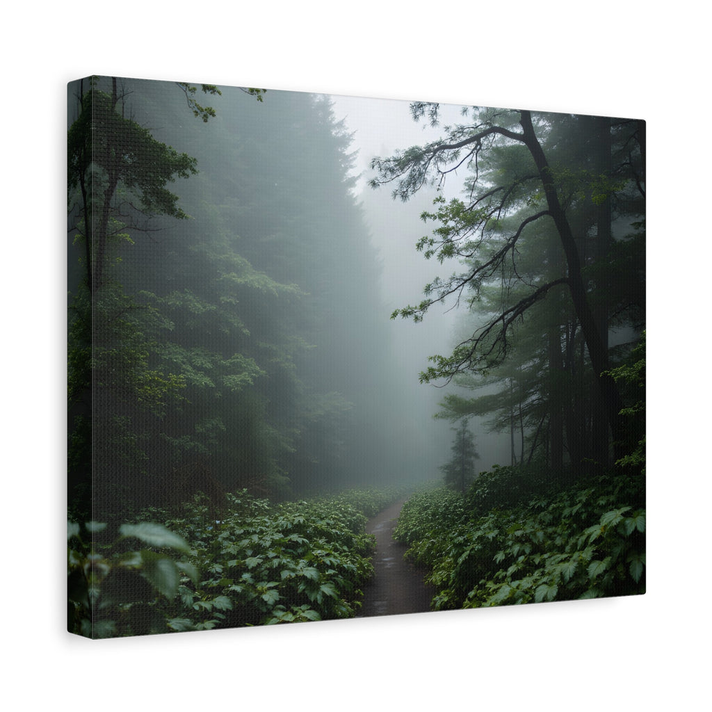 Misty Forest Path  Stretched Wall Art - Canvas Print