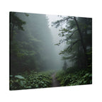 Misty Forest Path  Stretched Wall Art - Canvas Print