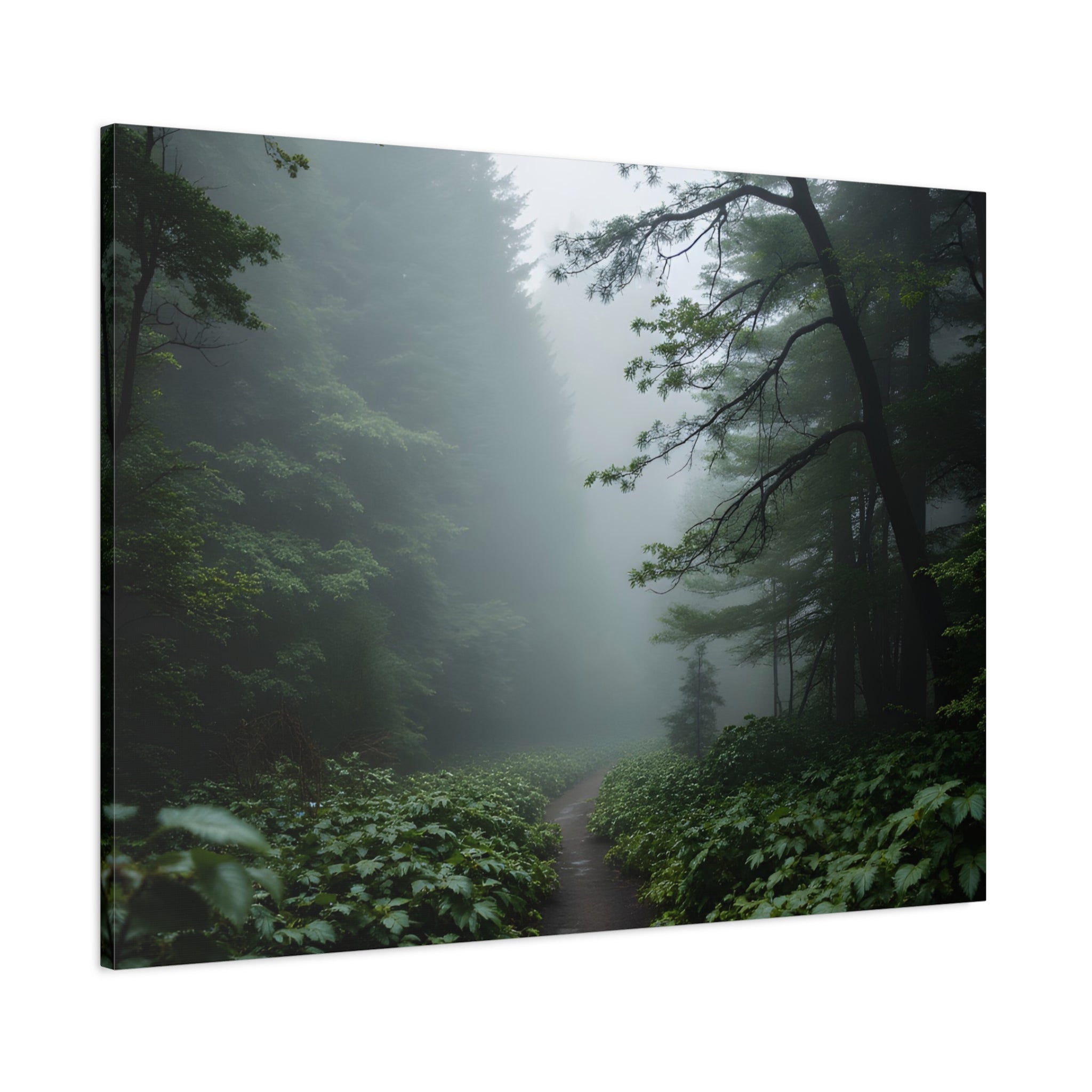 Misty Forest Path  Stretched Wall Art - Canvas Print