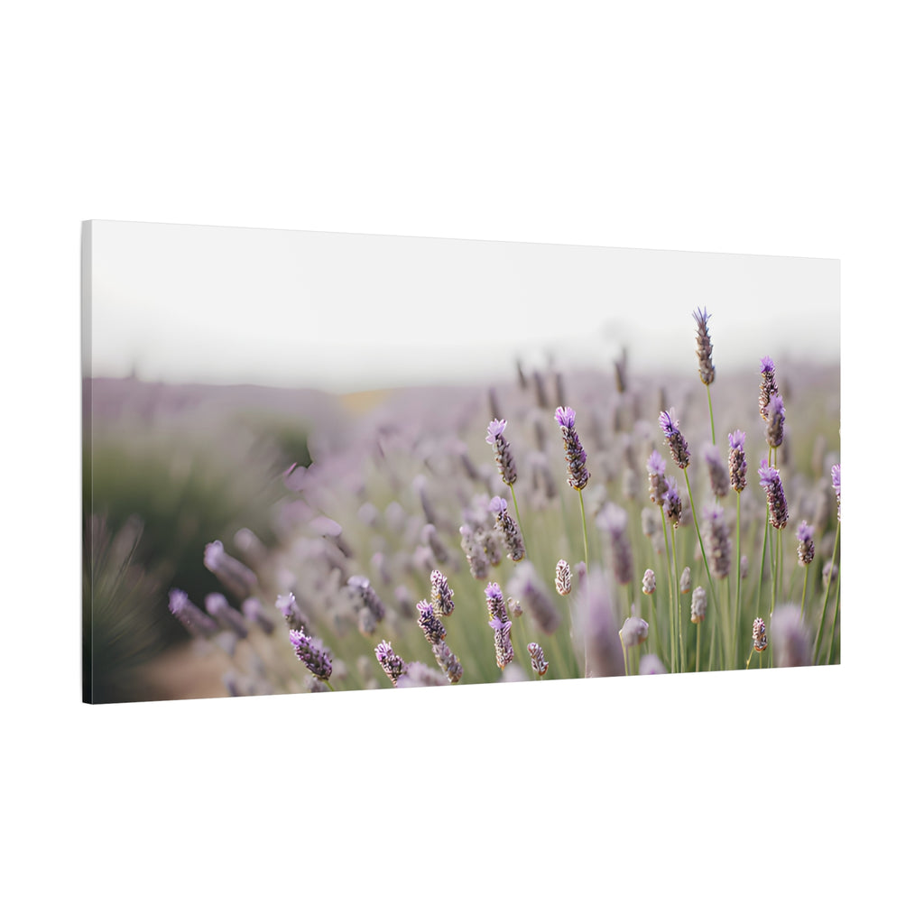 Lavender Field Wall Art – Stretched Canvas