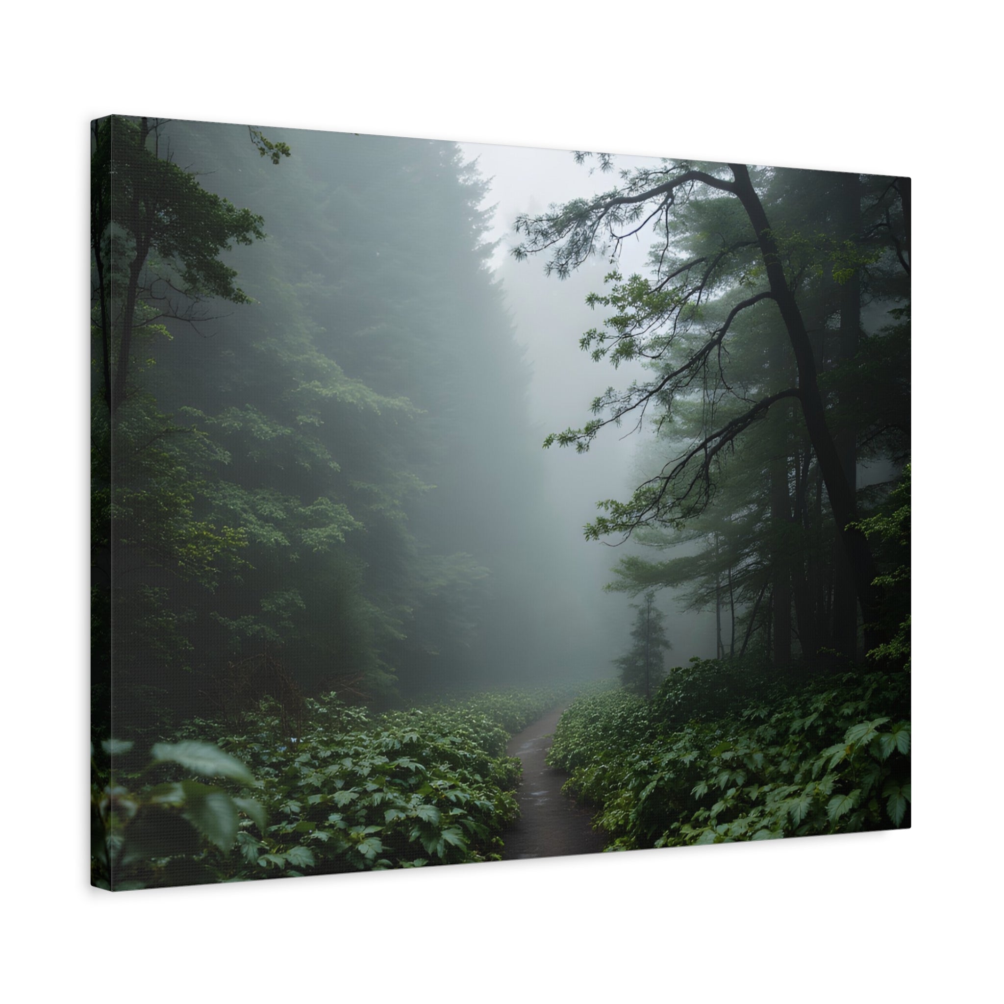 Misty Forest Path  Stretched Wall Art - Canvas Print