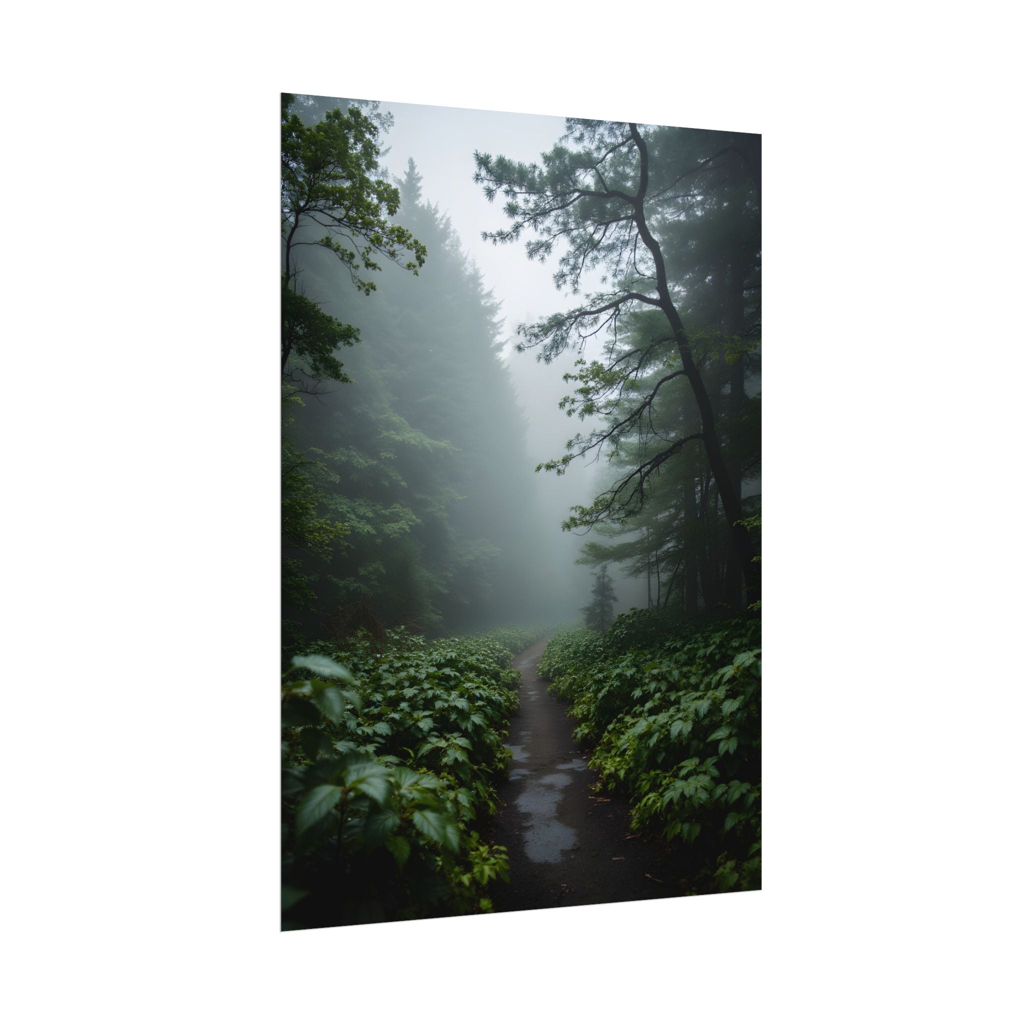 Misty Forest Path  Stretched Wall Art - Poster