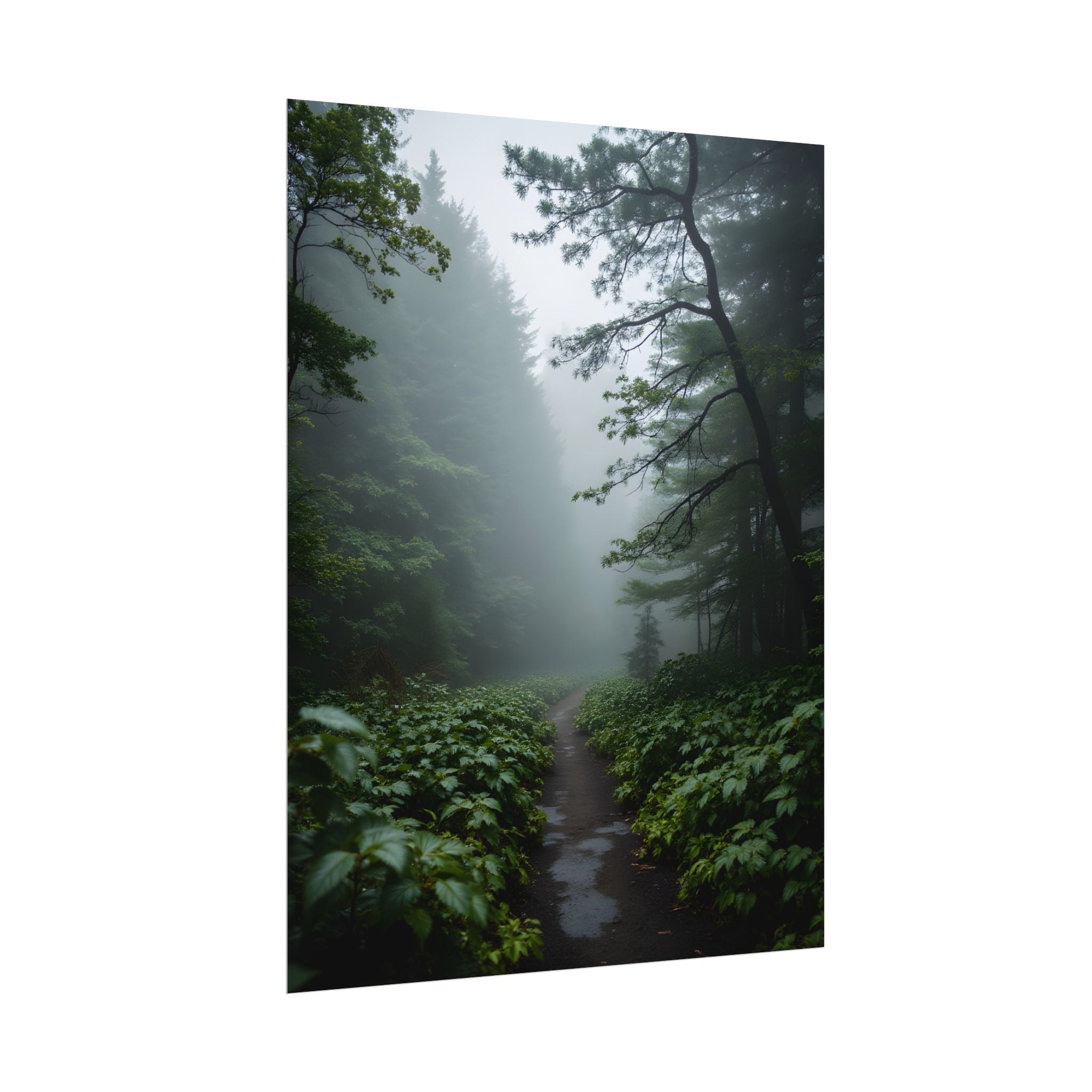 Misty Forest Path  Stretched Wall Art - Poster
