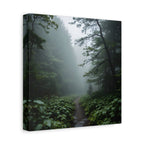 Misty Forest Path  Stretched Wall Art - Canvas Print