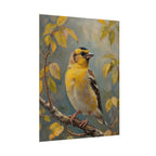 Goldfinch on a branch Wall Art - Poster
