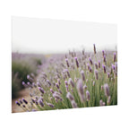 Lavender Field Wall Art – Poster