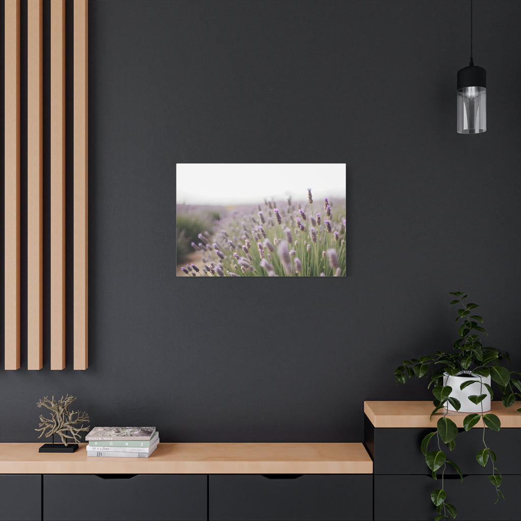 Lavender Field Wall Art – Stretched Canvas