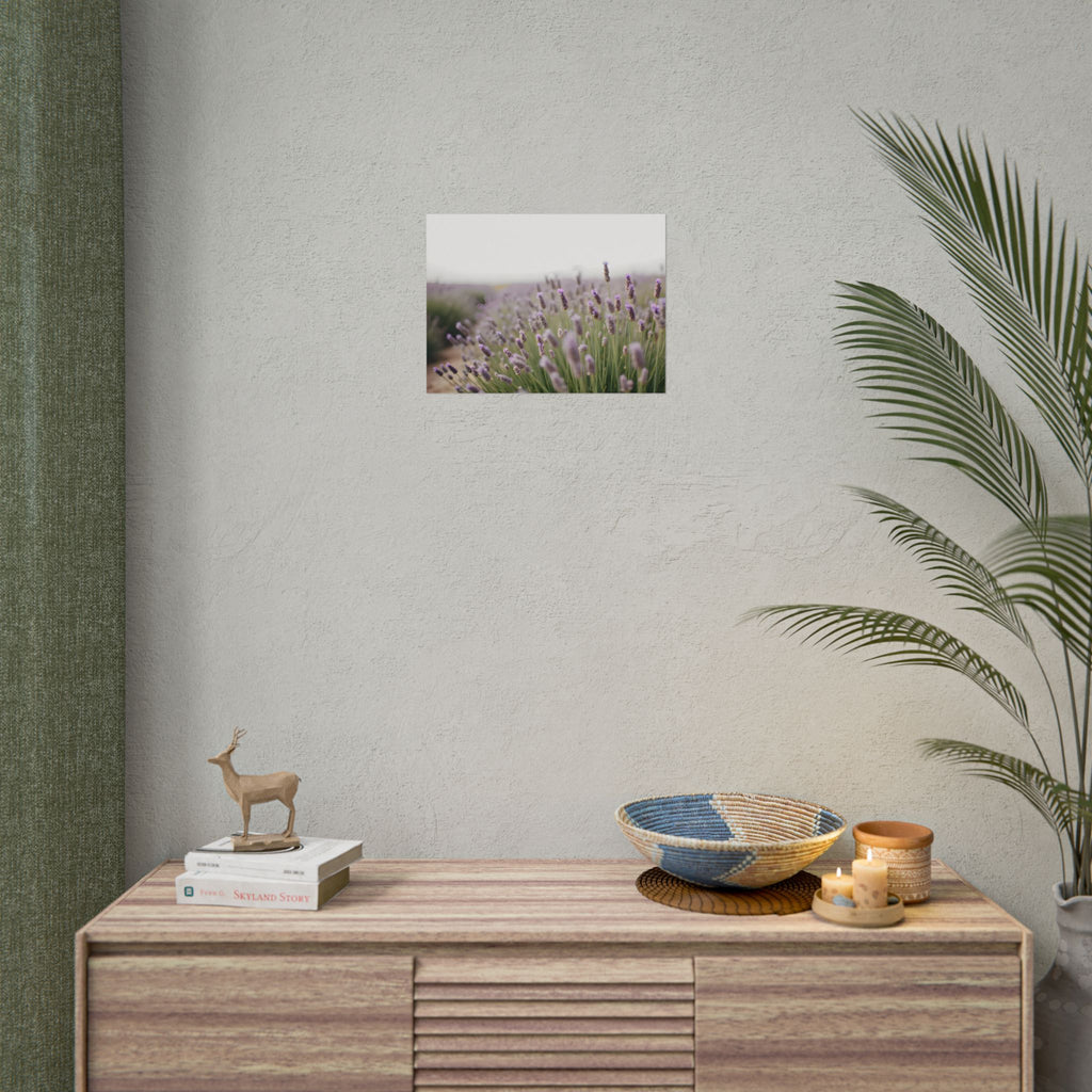 Lavender Field Wall Art – Poster