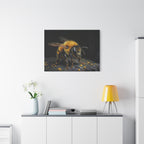 Bumblebee Canvas Print — Realistic Bee Wall Art on Matte Stretched Canvas