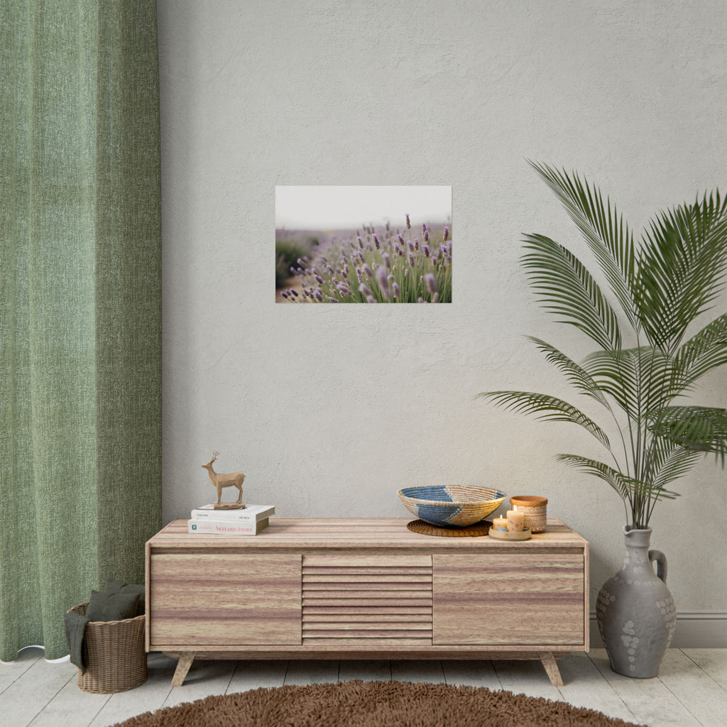 Lavender Field Wall Art – Poster