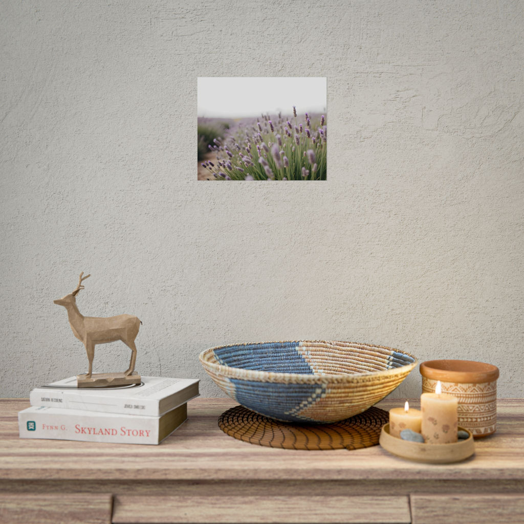 Lavender Field Wall Art – Poster