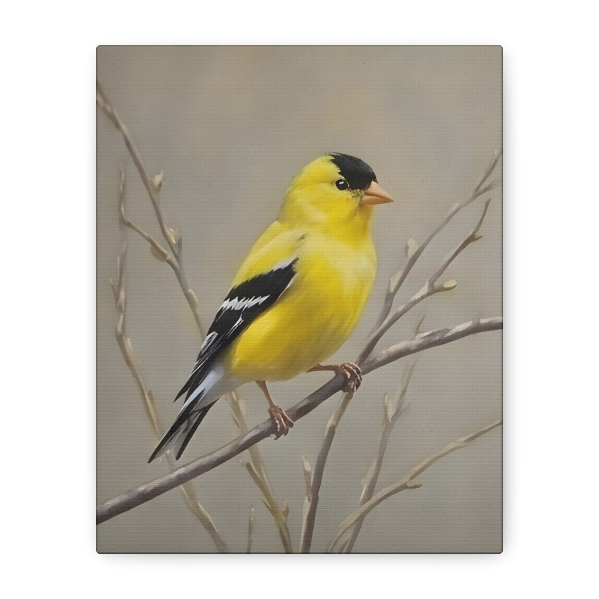 Goldfinch Wall Art Canvas — Yellow Songbird Painting on Branch, Matte Stretched Canvas
