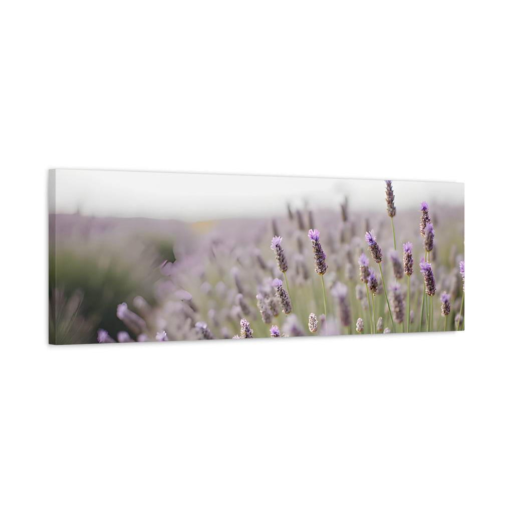 Lavender Field Wall Art – Stretched Canvas