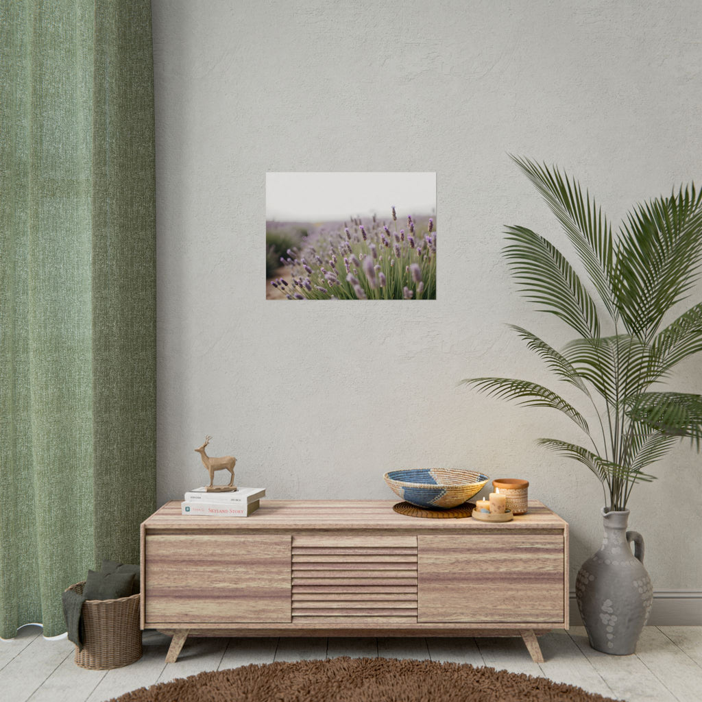 Lavender Field Wall Art – Poster
