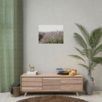 Lavender Field Wall Art – Poster