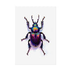 Iridescent Beetle Wall Art – Poster