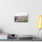 Lavender Field Wall Art – Stretched Canvas
