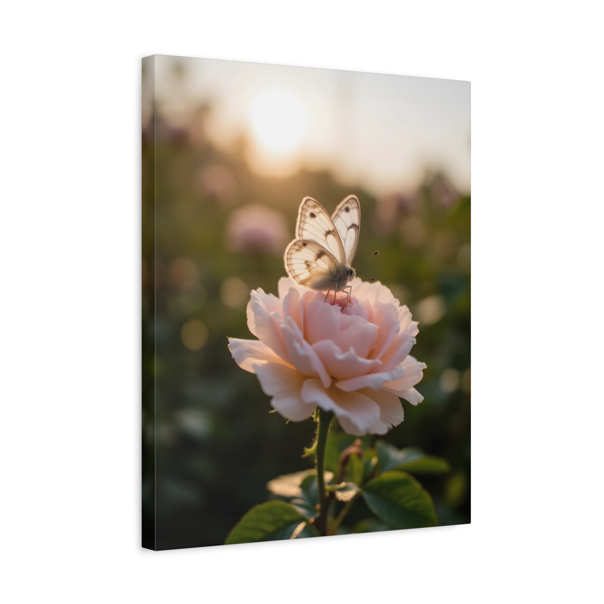 Butterfly on Pink Rose Wall Art - Stretched Canvas