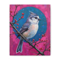 Blue jay on a holly branch Wall Art - Stretched Canvas