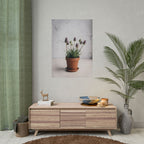 Potted Alpine Dodgegrass Wall Art – Poster