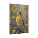 Goldfinch on a branch Wall Art - Stretched Canvas