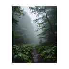 Misty Forest Path  Stretched Wall Art - Poster