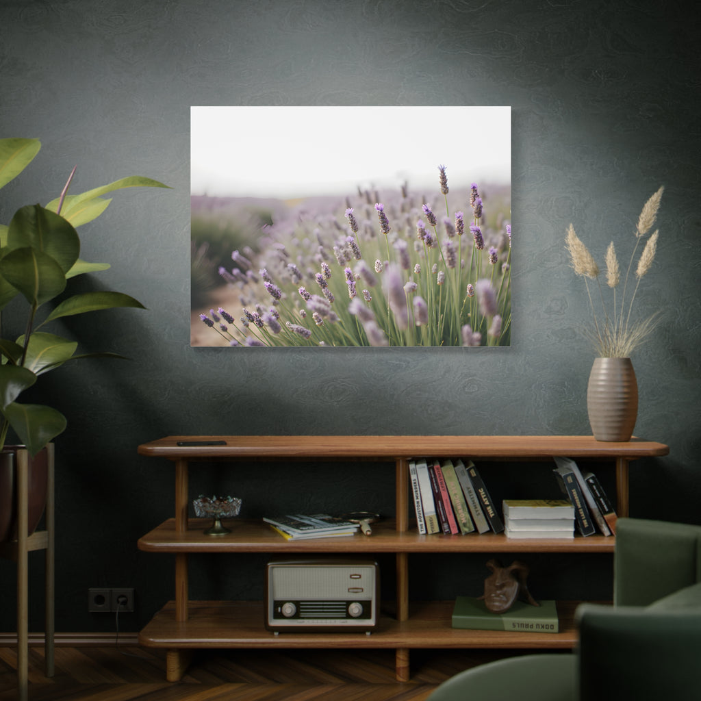 Lavender Field Wall Art – Stretched Canvas