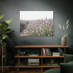 Lavender Field Wall Art – Stretched Canvas
