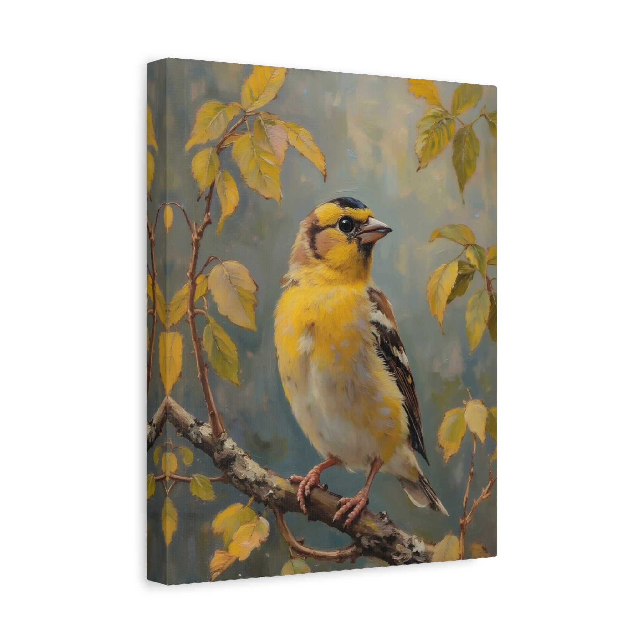 Goldfinch on a branch Wall Art - Stretched Canvas
