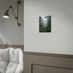 Misty Forest Path  Stretched Wall Art - Poster