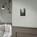 Misty Forest Path  Stretched Wall Art - Poster