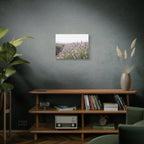 Lavender Field Wall Art – Stretched Canvas
