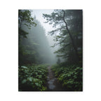 Misty Forest Path  Stretched Wall Art - Canvas Print