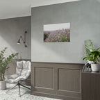 Lavender Field Wall Art – Poster