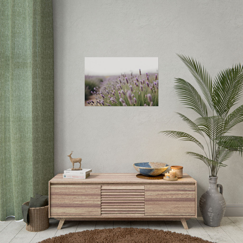 Lavender Field Wall Art – Poster