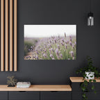 Lavender Field Wall Art – Stretched Canvas
