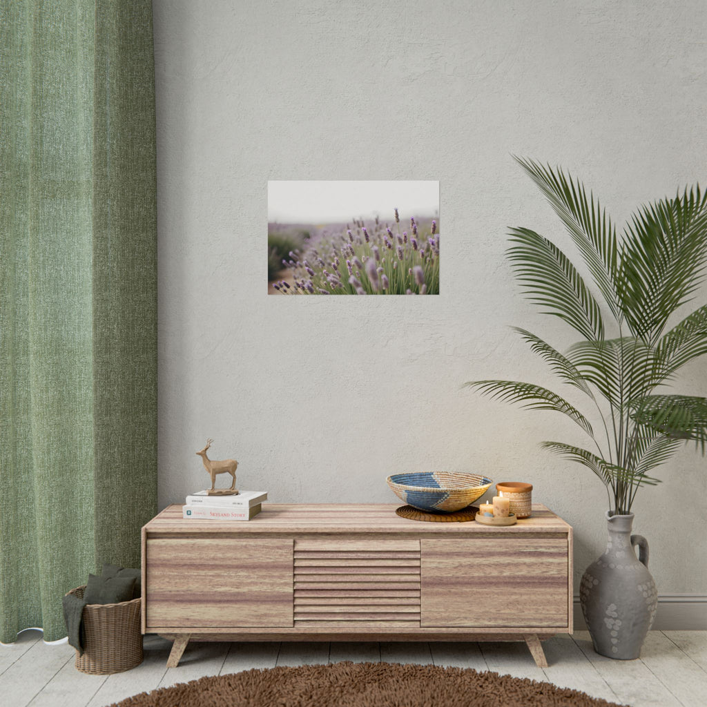 Lavender Field Wall Art – Poster