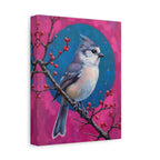 Blue jay on a holly branch Wall Art - Stretched Canvas