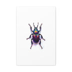 Iridescent Beetle Wall Art – Stretched Canvas