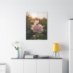 Butterfly on Pink Rose Wall Art - Stretched Canvas