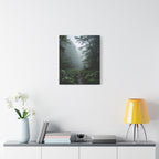 Misty Forest Path  Stretched Wall Art - Canvas Print