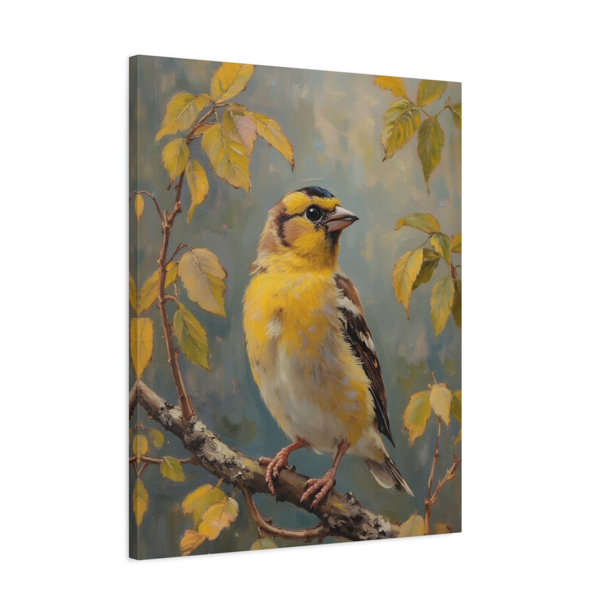 Goldfinch on a branch Wall Art - Stretched Canvas