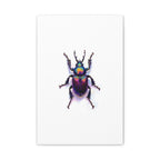 Iridescent Beetle Wall Art – Stretched Canvas