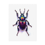 Iridescent Beetle Wall Art – Poster
