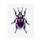 Iridescent Beetle Wall Art – Poster